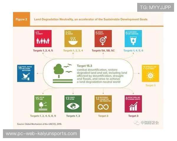 中超青训俱乐部商业可持续性分析